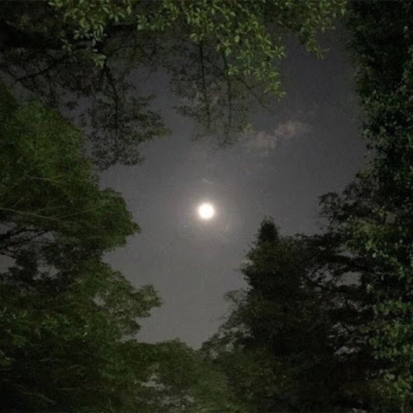 Meet your Posher, Miles - Picture 1 of 1